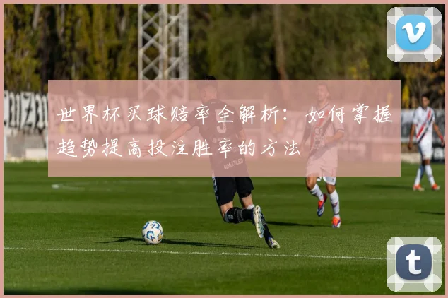 世界杯买球赔率全解析：如何掌握趋势提高投注胜率的方法