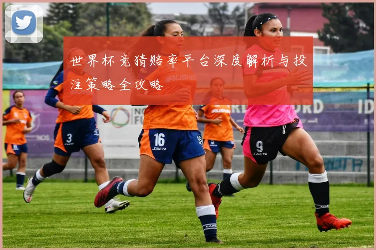 世界杯竞猜赔率平台深度解析与投注策略全攻略