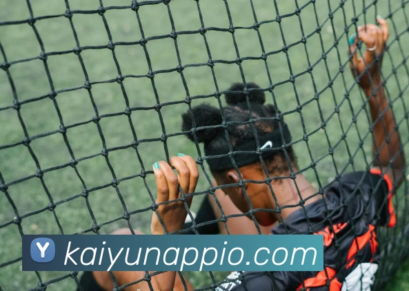 开云平台展示图